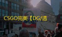 CSGO完美【DG/透饰/梓喵/全功能/只支持完美平台】辅助