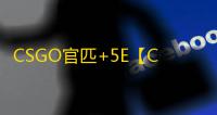 CSGO官匹+5E【COCO/透饰/梓喵/5E+官匹】辅助